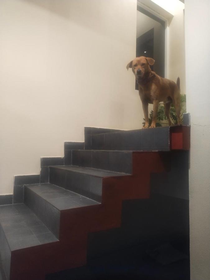 Two Bedroom House มาดิเครี ภายนอก รูปภาพ
